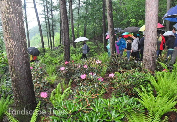 뚜벅이투어 참가자들이 국립백두대간수목원 만병초원을 둘러보고 있다.