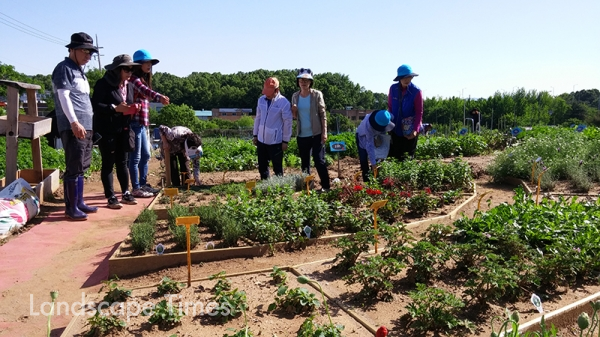 서울도시농업박람회 텃밭투어. 사유지를 빌려 친환경 토양으로 바꿔낸 상일텃밭을 참가자들이 투어 중이다.
