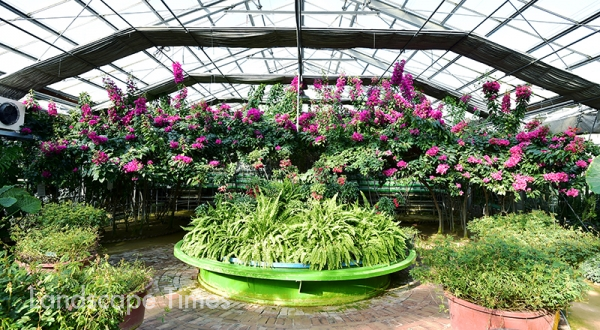 충남 아산 ‘세계꽃식물원’ (사진 한국조경신문 DB)