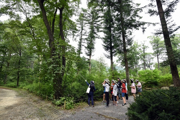 국립수목원이 운영하는 청소년 산림생물학교 교육현장