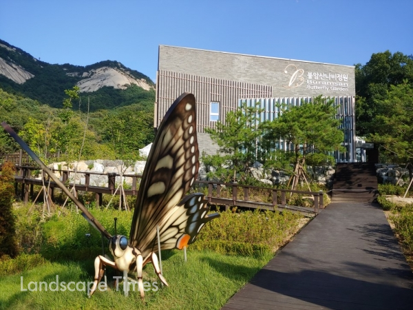 사계절 나비를 관찰할 수 있는나비정원이 18일부터 개장한다. (사진제공 노원구)