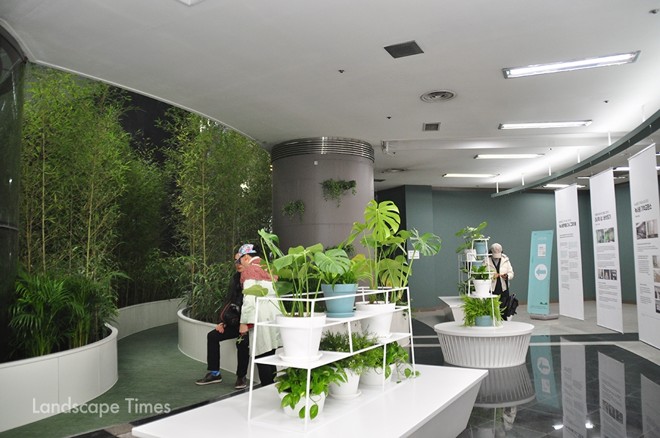14일 녹사평역 공공미술 프로젝트가 완료돼 시민들에게 첫 공개됐다. 사진은 지하 4층에 조성된 식물정원 '시간의 정원' 모습