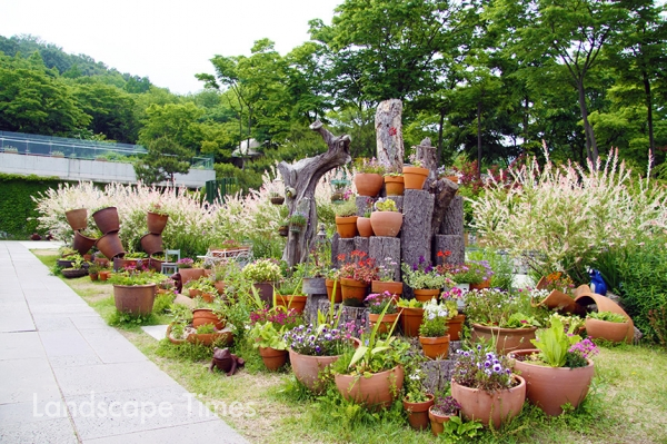 신구대학교식물원에 전시된 야생화 정원