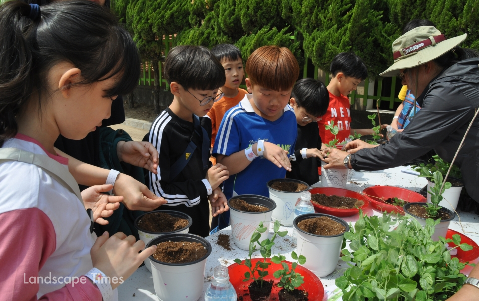 인천 미추홀구 도시농업지원센터가 지원하는 학교텃밭 체험 교육 현장