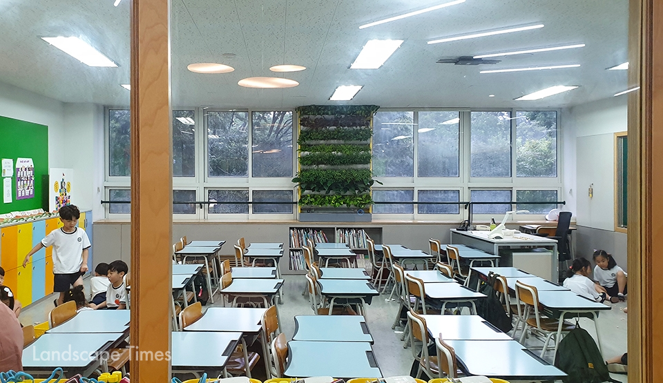 창의적 학습환경 개선사업으로 조성된 교실 내 녹색필터 숲  ⓒ한설그린
