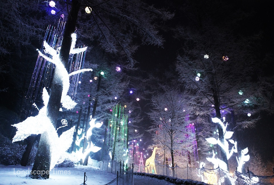 아침고요수목원이 내달 6일부터 개최하는 ‘오색별빛정원전’의 달빛정원 모습 ⓒ아침고요수목원
