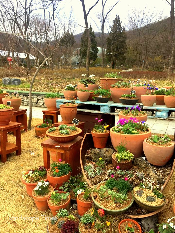 신구대학교식물원이 내달 5일까지 2020 봄꽃 전시 '봄을 담은 소담한 정원'을 연다. ⓒ신구대학교식물원