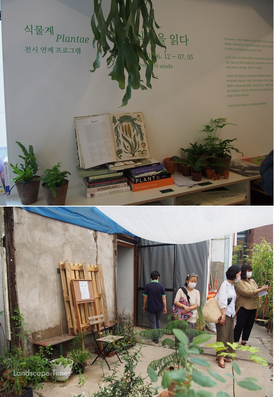 전시연계프로그램 ‘식물을 읽다’. 전시장 뒷마당과 2층 보안책방에는 심다(simda)가 큐레이션한 정원을 볼 수 있다.