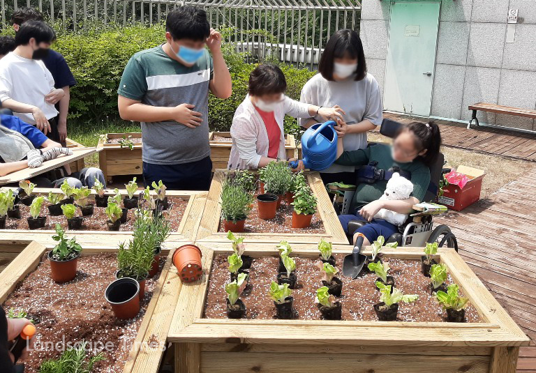 휠체어 이용자들을 위한 맞춤형 텃밭에서 진행되는 치유형 사회적도시농업 프로그램 ⓒ경기도