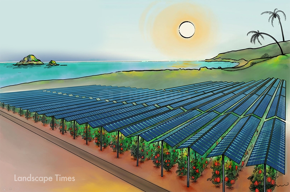 피지 농업공존형 태양광발전사업 조감도    ⓒ기획재정부