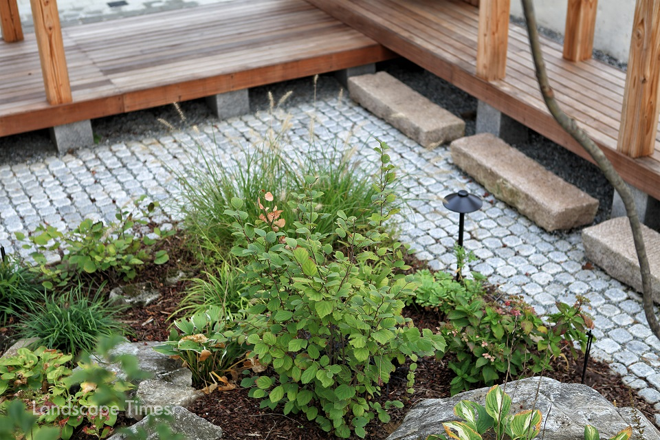 LH가든쇼에서 대상을 수상한 정원 ‘청초 : 자세히, 오래 보아야 하는 정원’