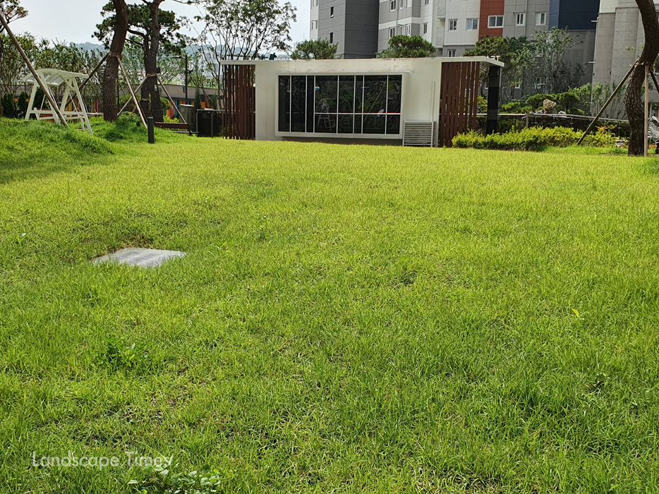 잔디보호매트가 설치된 신암 에일린의 뜰 잔디광장 잔디가 초록으로 덮여 있다  ⓒ키그린