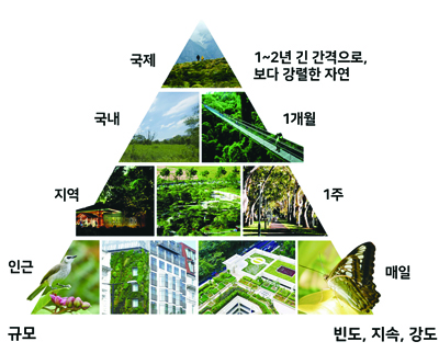 자연 피라미드 (자료:싱가포르 국립공원위원회)