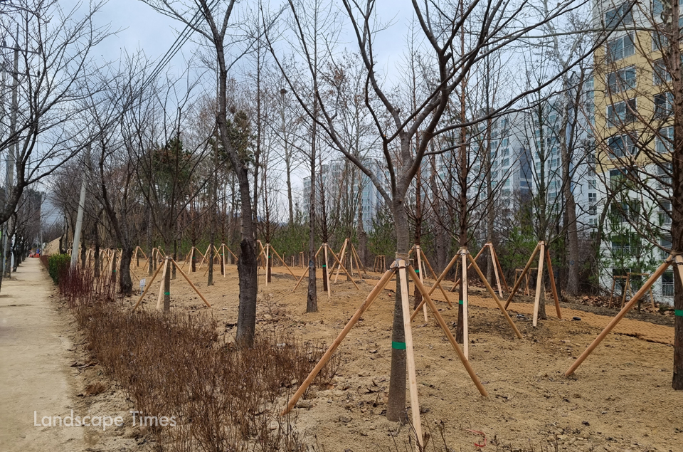 충북 진천 광혜원산단 지역에 조성된 미세먼지 차단숲  ⓒ진천군