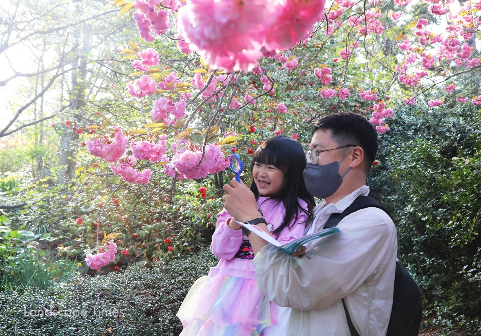 천리포수목원에서 아빠와 겹벚나무를 관찰하는 어린이 ⓒ천리포수목원