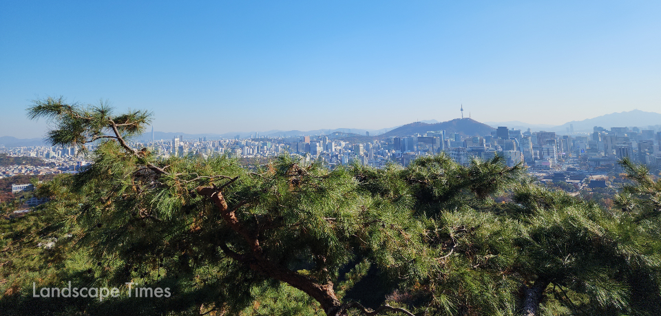 서울시의 도시숲 전경