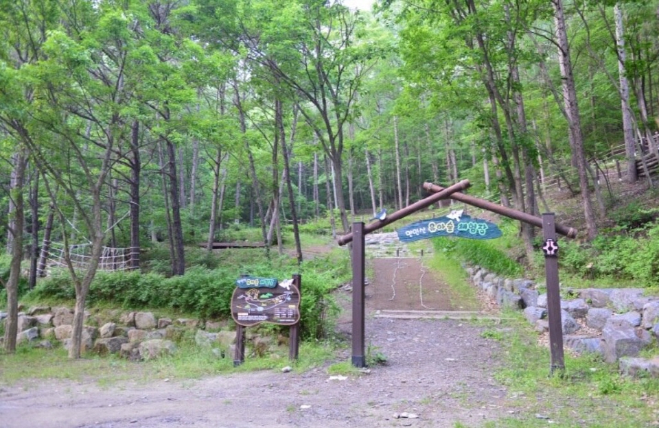 만인자연휴양림의 유아숲 체험장 모습 Ⓒ 대전시 공원관리사업소
