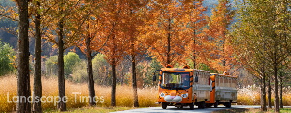가을단풍이 한창인 국립백두대간 수목원을 달리는 호랑이 트램   ⓒ국립백두대간수목원