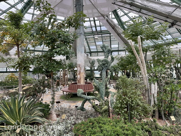 다육식물원에서는 사계절 이국적인 풍경을 감상할 수 있다.