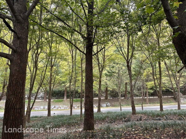 미동산에는 자신만의 속도와 취향으로 숲을 즐길 수 있는 5가지 숲길이 있다. 
