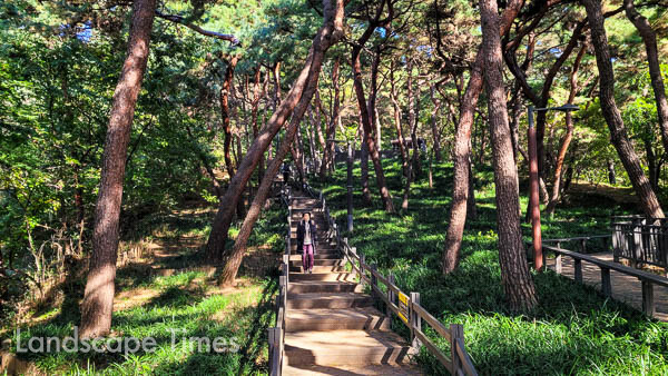아차산 소나무 공원