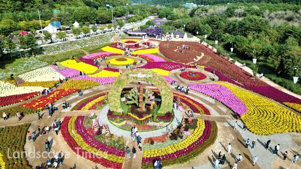 인제군 용대관광지 '인제가을꽃 축제’ 현장 ⓒ인제군
