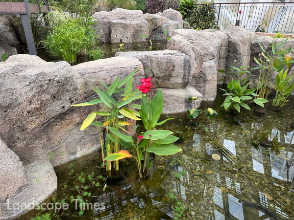 온실은 물의 식물원으로 세계 각국의 아열대 식물과 수련, 연꽃이 전시돼 있다.