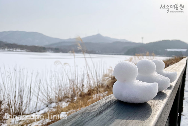 서울대공원의 겨울 풍경 ⓒ서울대공원