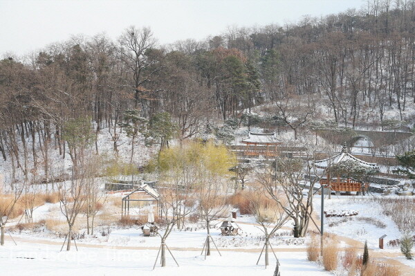 영흥수목원의 겨울 풍경 ⓒ수원시
