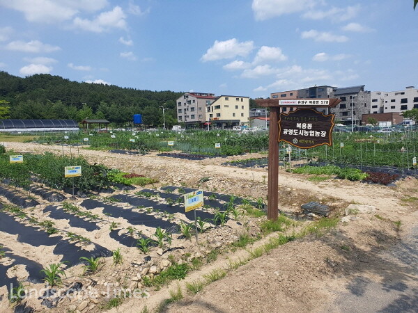 대전시 공영도시농업농장(유성구 복용동 578번지) Ⓒ대전시