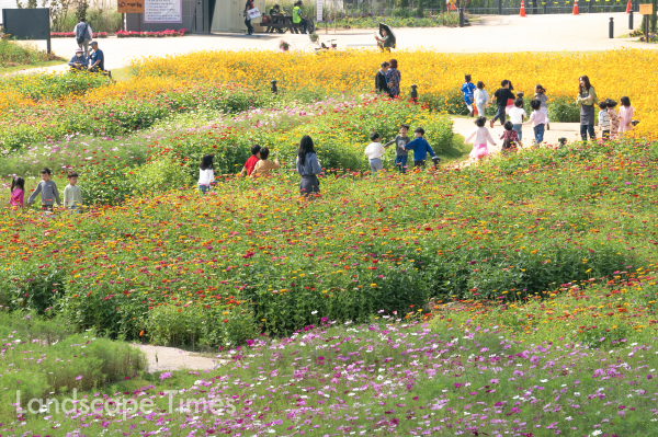 지난해 9월 개장한 전농동 ‘지식의 꽃밭’ ⓒ동대문구