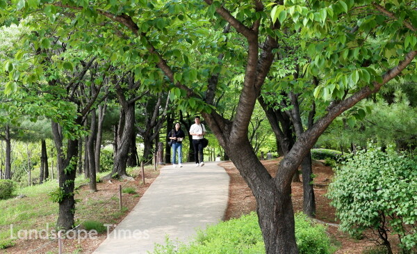 산책로가 잘 조성된 부천 상동호수공원. 시민들이 여유롭게 산책을 즐기고 있다 ⓒ부천시