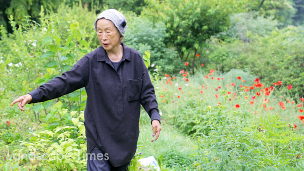 영화 '땅에 쓰는 시' 중 한 정영선 조경가와 그녀의 양평 정원 ⓒ영화사 진진